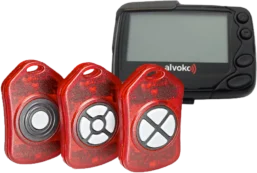 Bipeurs Assistant(e)s