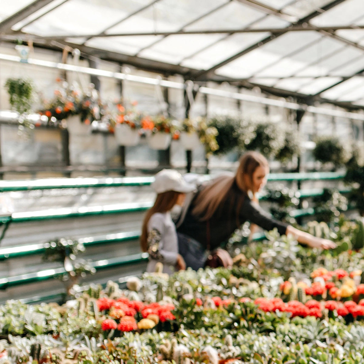 Café, Hôtel, Restaurant